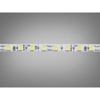 LED стрічка 24В, 120 діодів на метр, 5мм, холодний Diasha P24-2835-120-CW-20-5