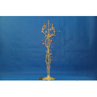 Торшер свеча T1089/3 (BEIGE+MIX(PK)) Splendid-Ray
135055 Торшер свеча T1089/3 (BEIGE+MIX(PK)) Splendid-Ray
135055