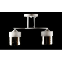 Люстра с плафонами  L88113/2 (WT+SL) Splendid-Ray
210435