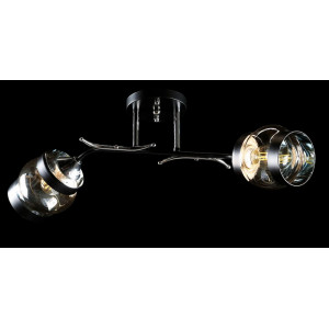 Люстра с плафонами  L91148/2 (BLK+CR) Splendid-Ray
260852