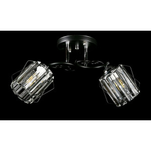 Люстра с плафонами  L4630/2 (BK) Splendid-Ray
234485