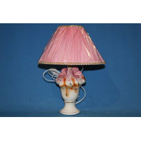 Настольная лампа с абажуром N075T (A+B) (BL, BR, GR, PK) Splendid-Ray
12931