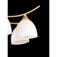 Люстры потолочные с пафоном  Splendid-Ray 221123 (GOLD)