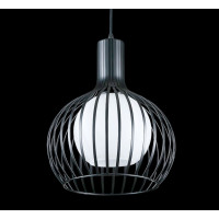 Подвесная люстра  L05/1 (BLK) Splendid-Ray
0260748