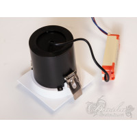 Телескопический направляемый точечный светильник Diasha 102E-S