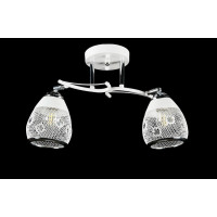 Люстра с плафонами  L06429/2 (WHITE+CHROME) Splendid-Ray
1002550