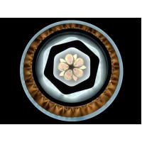 Светильник потолочный светодиодный LED Linisoln 2189