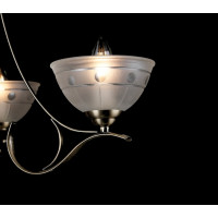 Люстра с плафонами  L0007/3 Splendid-Ray
7832