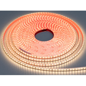 LED стрічка 24в, 120 шт/м, герметична, 8мм, теплий Diasha N24-2835-120-WW-65-8