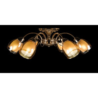 Люстра с плафонами Splendid-Ray 18811721(FGD+BRN)