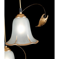 Подвесная люстра Splendid-Ray 882479