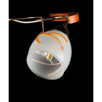 Люстра с плафонами Splendid-Ray 881447(FGD+BL)