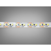 LED стрічка 12В, 180 діодів на метр, 10 мм, холодний Diasha P12-2835-180-CW-20-10