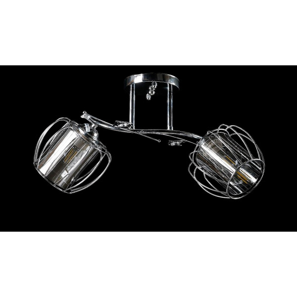 Люстра с плафонами  L9118/2 (CR) Splendid-Ray
0260824