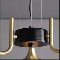 Люстра подвесная декоративная на 5 ламп Levistella 761J2012-5