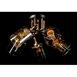 Люстра с плафонами  L6016/5 (BLK+FG) Splendid-Ray
260744