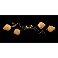 Люстра с плафонами Splendid-Ray 5025