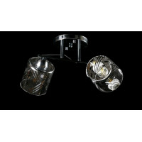 Люстра с плафонами  L8572/2 (CR+BK) Splendid-Ray
234497