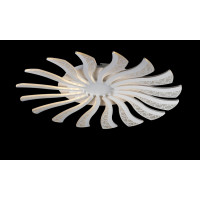 Светодиодная люстра LK39265/16 BIG LED (WT) Splendid-Ray
286062