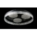 Светодиодная люстра L2973/470/3+1 LED (BLACK) Splendid-Ray
1002593