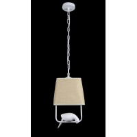 Люстра подвесная декоративная с птичкой Splendid-Ray 212770