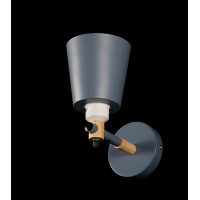 Бра с плафонами BH168/1 (GRAY) Splendid-Ray
2485