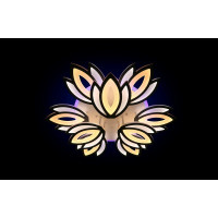 Светильники светодиодные Linisoln 1808/6+3 Led