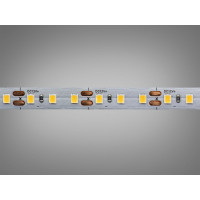 LED стрічка 12В, 120 діодів на метр, 8мм, нейтральний Diasha P12B-2835-120-NW-20-8
