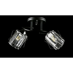 Люстра с плафонами  L8437/2 (BK) Splendid-Ray
234459