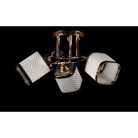 Люстра с плафонами  L75740/3 (FGD) Splendid-Ray
1002648