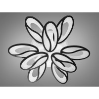 Люстры потолочные светодиодные с пультом и подсветкой Diasha 8090/6+3BK LED 3color dimmer