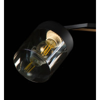 Люстра с плафонами  L7470/3 (FG+BK) Splendid-Ray
234894