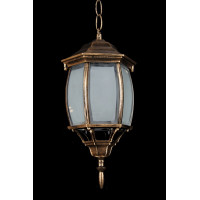 Уличный фонарь подвесной Splendid-Ray C88/07/43
