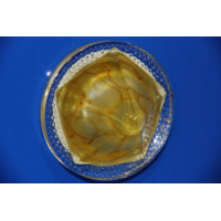 Точечный светильник OSD305 [YEL] Splendid-Ray
999925