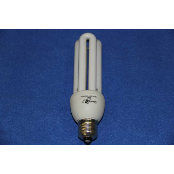 Энергосберегающая лампа ELT  30W 220V E27 WHITE Splendid-Ray
4898
