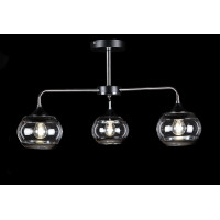 Люстра с плафонами Splendid-Ray 8306 (BK+CH)