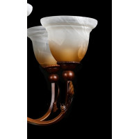 Люстра светильник со стеклянным плафоном Splendid-Ray 221143