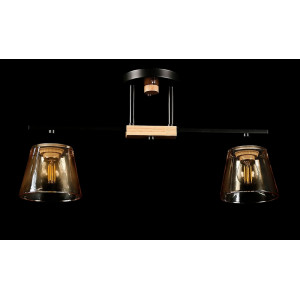 Люстра с плафонами  L6042/2 (BLK) Splendid-Ray
260764