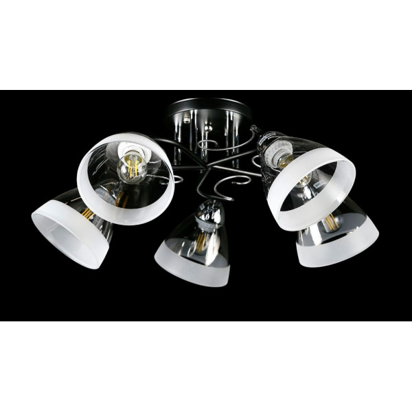 Люстра с плафонами L8332/5B (BK+CR) Splendid-Ray
234479 Люстра с плафонами L8332/5B (BK+CR) Splendid-Ray
234479