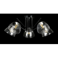 Люстра с плафонами Splendid-Ray 286127(BK+SR)