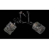 Люстра с плафонами  L75614A/2 (CR) Splendid-Ray
260202