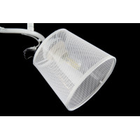 Люстры потолочные с пафоном Splendid-Ray 401020 (WT ) 