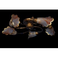 Люстра с плафонами Splendid-Ray 882463