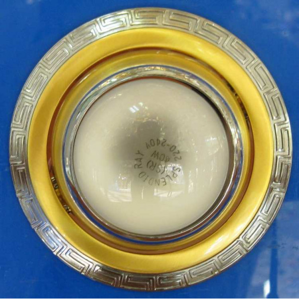 Точечный светильник ZJ1146A R50(с лампочкой) (SGCH) Splendid-Ray
145032