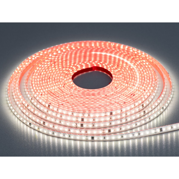 LED стрічка 220в, 120 шт/м, герметична, 8мм, нейтральний Diasha N220-2835-120-NW-65-8