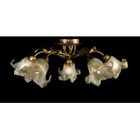Люстра с плафонами Splendid-Ray 192427