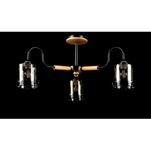 Люстра с плафонами  L6020/3 (BLK) Splendid-Ray
260749