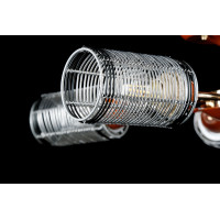 Люстра с плафонами Splendid-Ray 879874(FGD)