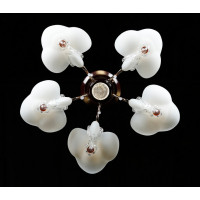 Люстра с плафонами  L9272/5+1 (BRD) Splendid-Ray
1998