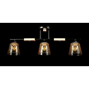 Люстра с плафонами  L6042/3 (BLK) Splendid-Ray
260765